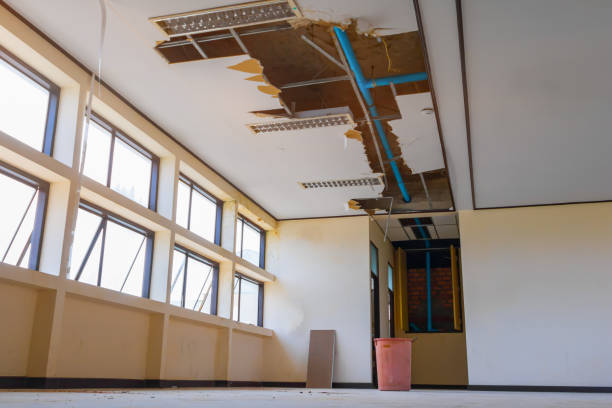 Best Water damage cleanup near me  in Fredonia, WI