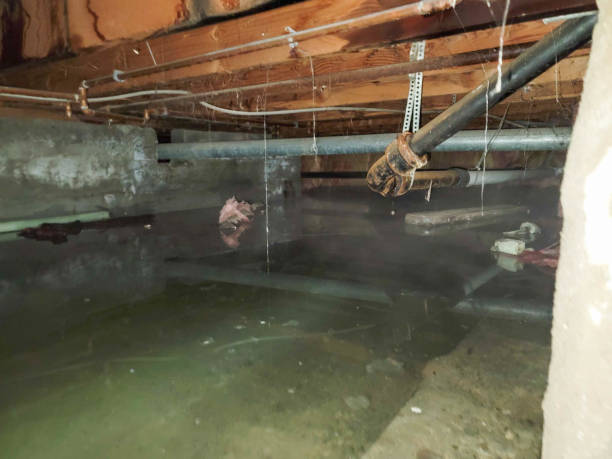 Best Local water damage restoration  in Fredonia, WI