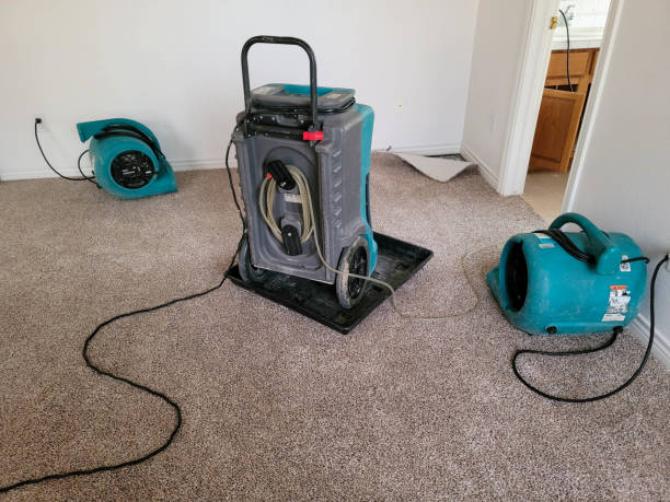 Best Carpet water damage restoration  in Fredonia, WI