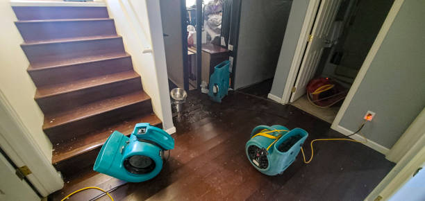 Best Flooded house restoration  in Fredonia, WI