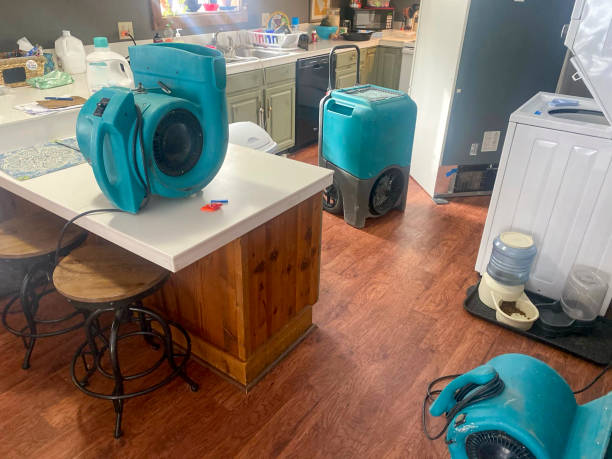 Best Mold removal after water damage  in Fredonia, WI