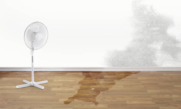 Best Water damage restoration near me  in Fredonia, WI