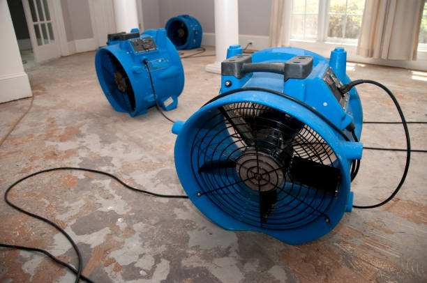 Reliable WI Water damage restoration Solutions