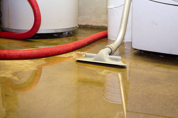 Best Commercial water damage restoration  in Fredonia, WI