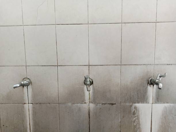 Best Residential water damage restoration  in Fredonia, WI