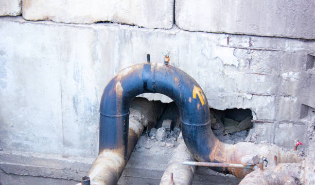 Best Water damage contractors near me  in Fredonia, WI