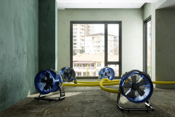 Sewage cleanup and water damage restoration in WI